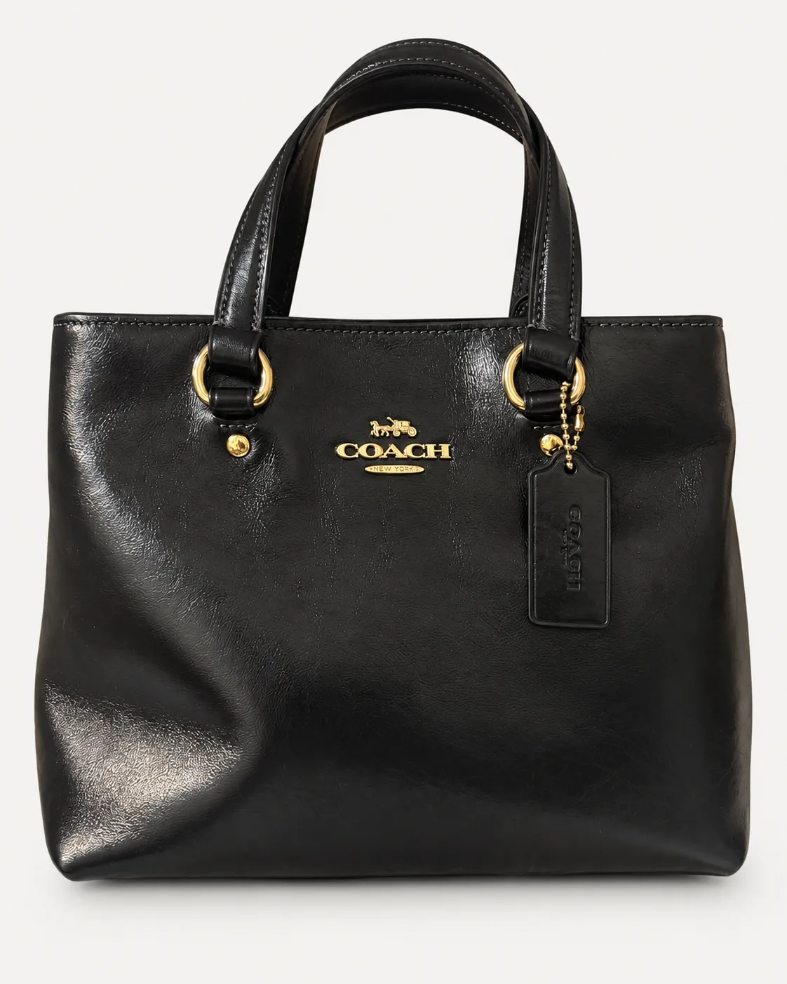 Coach Station Carryall